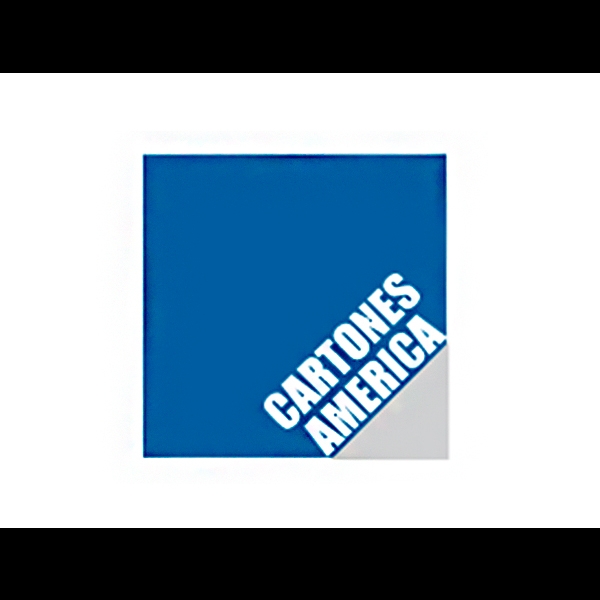 Cartones America